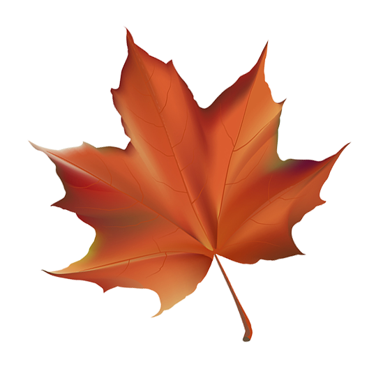 autumn leaf